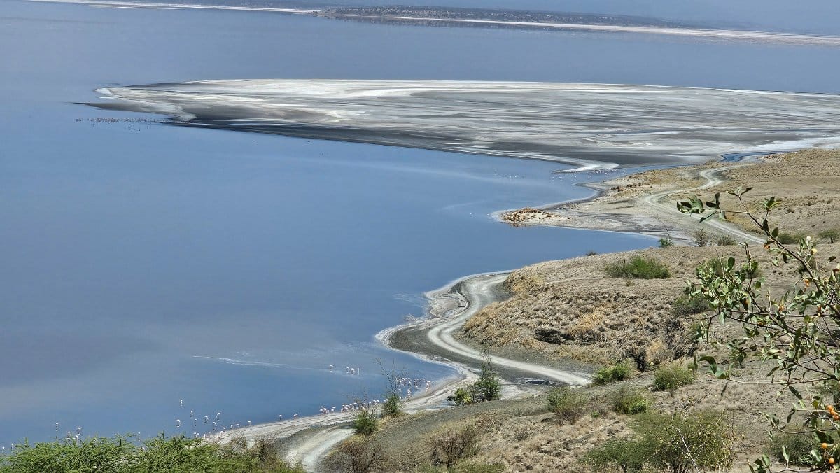 Lake Magadi Tour Lake 4