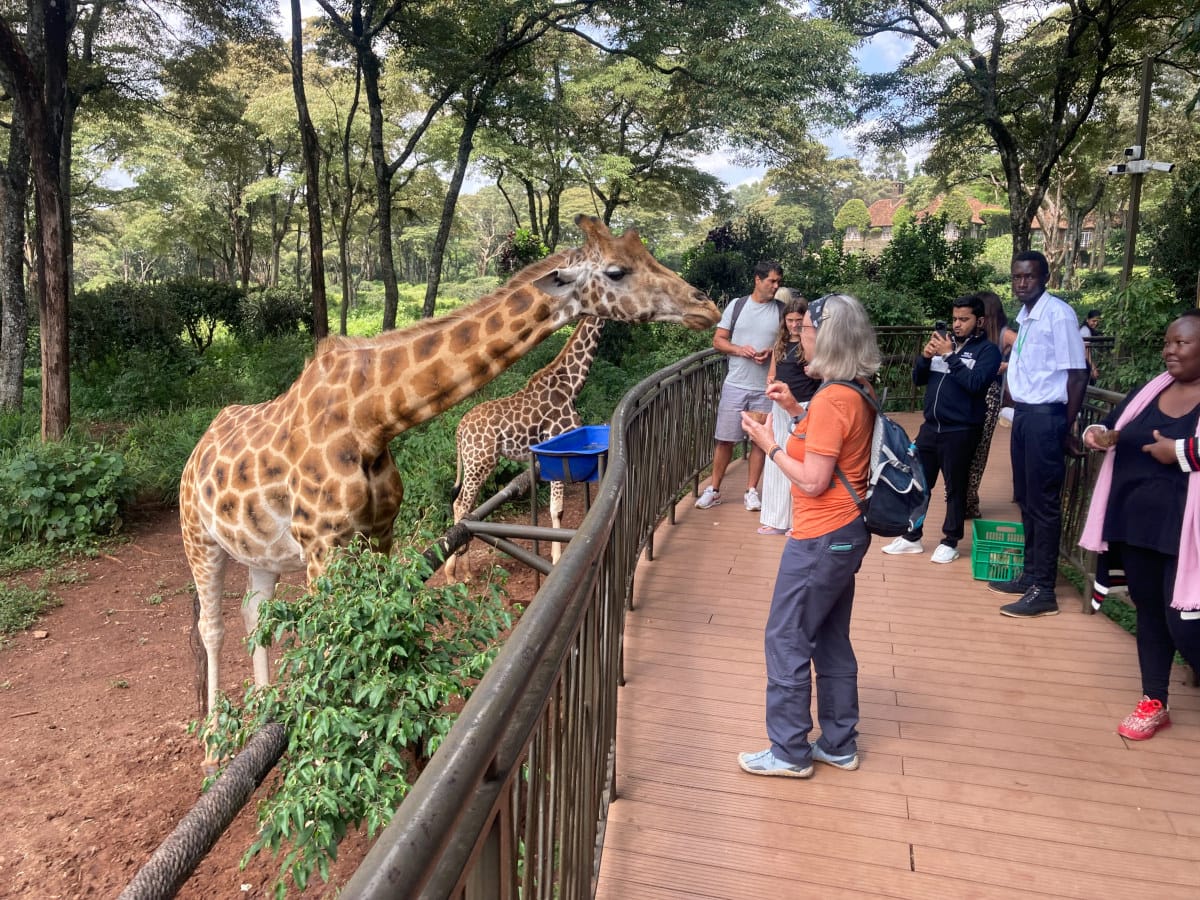 Karen Langata Tour Giraffe 1